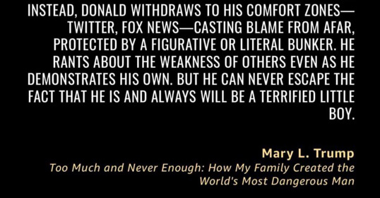 On Mary Trump’s Book