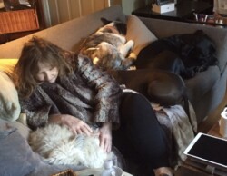 Susan and Dogs